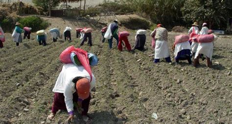 Minagri pone en marcha obras para ampliar frontera agrícola en Moquegua