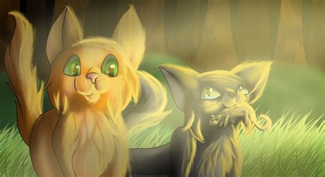 Cinderpaw And Fireheart By Rainbowspark2 On Deviantart