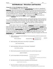 Cell Membrane Worksheet Pdf Name Date Per Cell Membrane