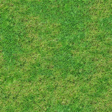 Green Meadow Grass Seamless Texture Stock Photo Image Of Background