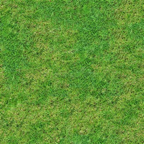 Green Meadow Grass. Seamless Texture. Stock Photo - Image of background ...