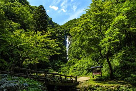 暑さ吹き飛ぶ！夏に訪れたい岡山県北 絶景の滝5選！｜おか旅 岡山観光web【公式】 岡山県の観光・旅行情報ならココ！