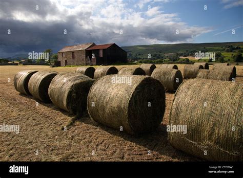 Baled Grass Hi Res Stock Photography And Images Alamy