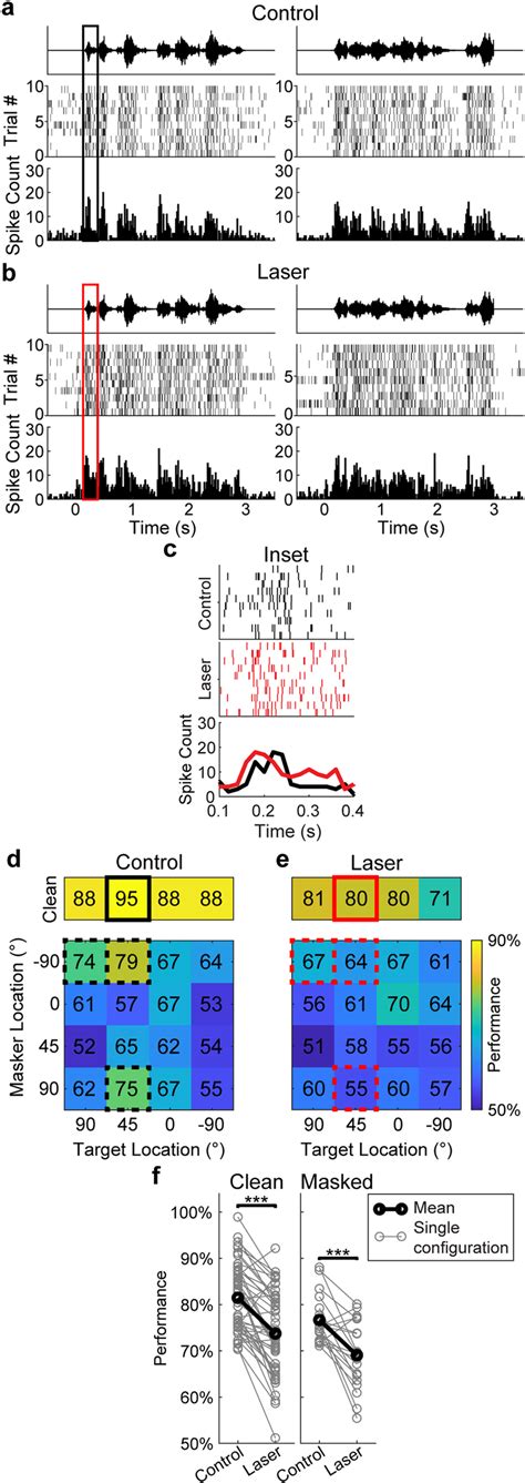 Effects Of Suppressing Pv Neurons On Cortical Discrimination A