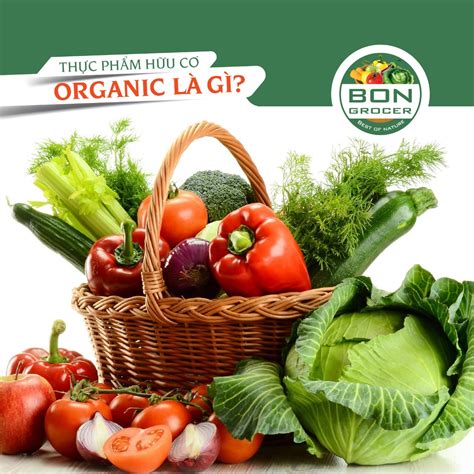 Bạn đã Biết Sự Thật Về Thực Phẩm Hữu Cơ Thực Phẩm Organic Bon Grocer