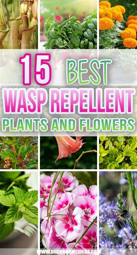 15 Best Wasp Repellent Plants To Grow In Your Garden