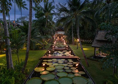 travelled  thailands white lotus hotels  discover   expect