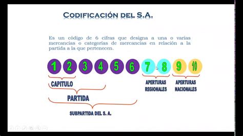 Clasificaci N Y Nomenclatura Arancelaria Primera Youtube