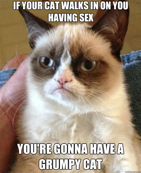 If Your Cat Walks In On You Having Sex You Re Gonna Have A Grumpy Cat Grumpy Cat Quickmeme