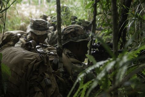 DVIDS Images Jungle Warfare Exercise Image 11 Of 17