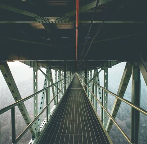 Pin By Jim Leivas On Next Level Pictures Forest Hill Brooklyn Bridge