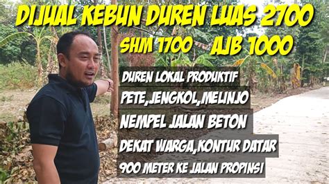 Dijual Kebun Duren Luas Kontur Datar Nempel Jalan Cor Bisa Beli