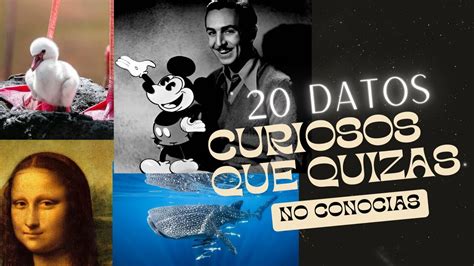 20 Datos Curiosos Que Quizás No Conocías Youtube