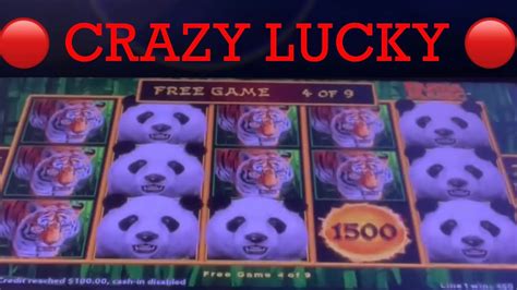 Crazy Lucky Panda Magic Dragon Link Slot Machine Pokie Wins Youtube