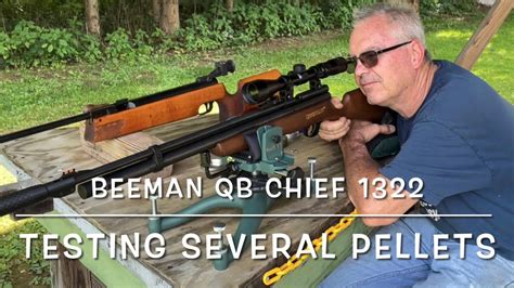 Pellet Testing With The Beeman Qb Chief Yds Baracuda S Crosman