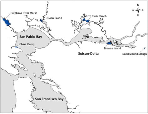 Distribution Of Six Sample Sites In The San Francisco Bay Delta