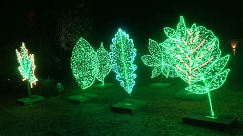 Magiczny Las Park Iluminacji W Poznaniu W Ogrodzie Dendrologicznym