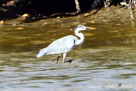 Visiting the Gambia River Basin - Travel The Whole World