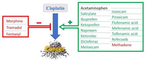 Medicina Free Full Text Interactions Of Analgesics With Cisplatin