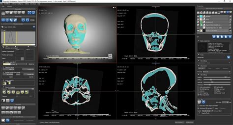 Revealing King Tut Bioarchaeologist Employs Digital Reconstruction