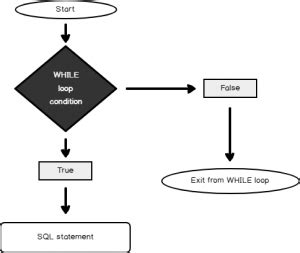 Sql While Loop With Simple Examples