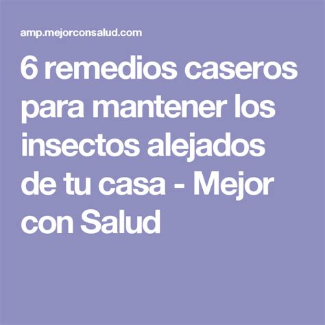 6 Remedios Caseros Para Mantener Los Insectos Alejados De Tu Casa