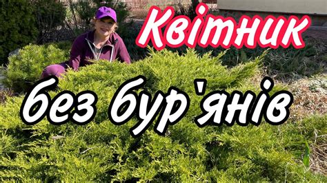 Квітник без БУР'ЯНІВ.Саджаю ці РОСЛИНИ.Сад.Дача.Грунтопокривні рослини ...