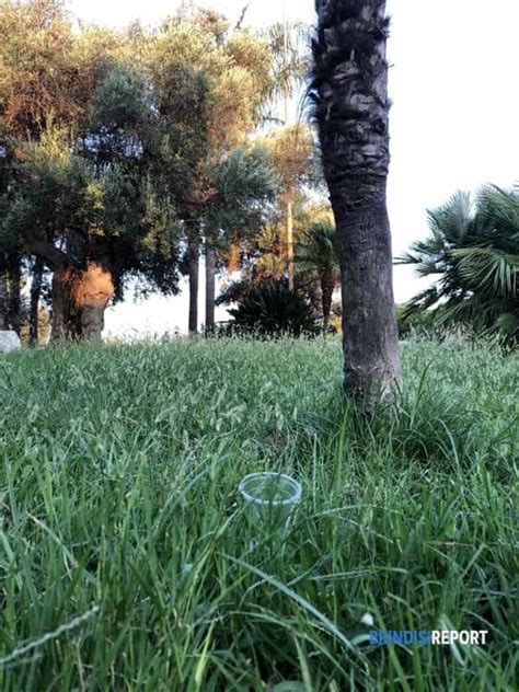 Monumento Al Marinaio Abbandonato A Se Stesso Segnalazione A Brindisi