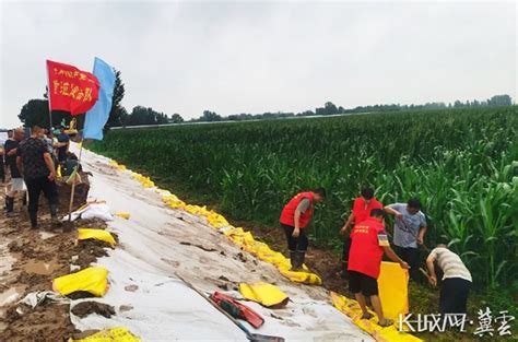 衡水：党旗飘扬 筑牢防汛“红色堤坝” 衡水频道 长城网