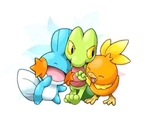 Mudkip, Treecko, Torchic | Mudkip, Pokemon art, Pokemon starters