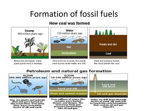 Top 76 Imagen Formation Of Fossil Fuels Abzlocalmx