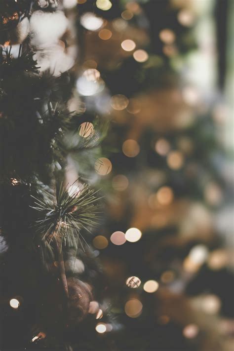 xmas tree wallpapers 2