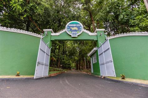 Bosque de Ribeirão Preto terá visitas guiadas Saiba como participar