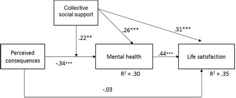 Path Model With Life Satisfaction As Dependent Variable Note N 118