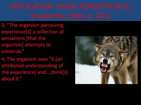 JAMES CARPENTERS FIRST SIGHT MODEL OF PSI AND DUNS SCOTUS THEORY OF