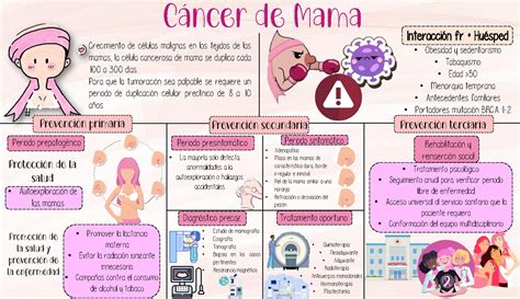 Historia Natural De La Enfermedad Cancer De Mama Periodo Pre The Best