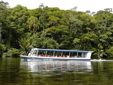 Tortuguero River Wildlife Canals Boat Trip Cahuita National Park