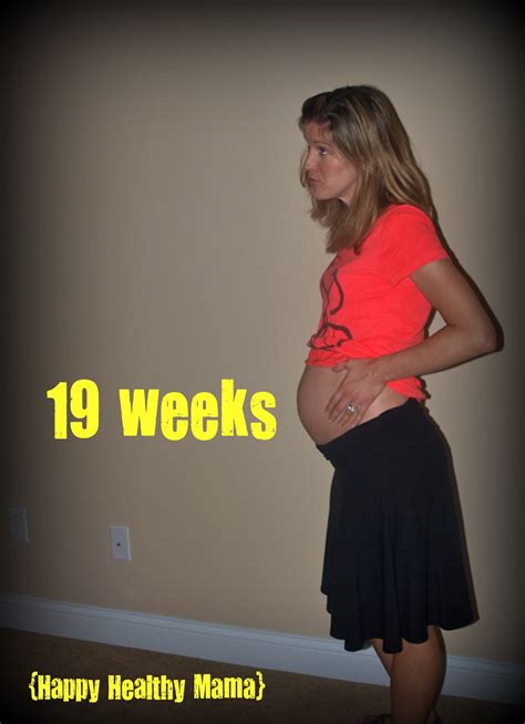 Week 19 Pregnancy | Search Results | PREGNANT TIPS | PREGNANCY GUIDE