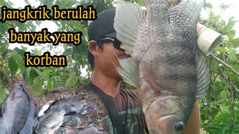 Maser Ikan Nila Nekat Maser Di Spot Ini YouTube