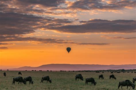 10,000+ Free Safari & Africa Images - Pixabay