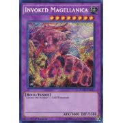 Fuen En Invoked Magellanica Yu Gi Oh