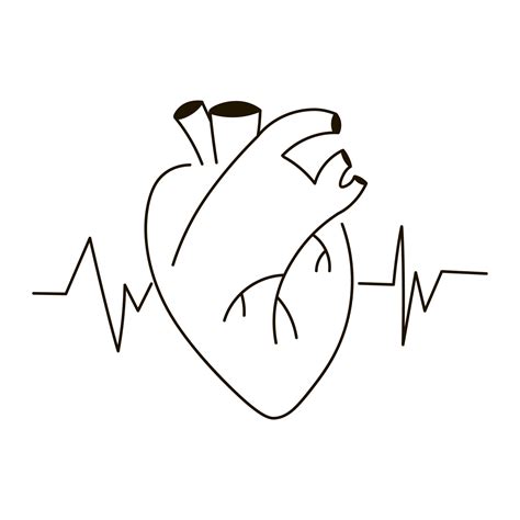 Human Heart With Heart Beat Pulse Icon In Outline Style Isolated On