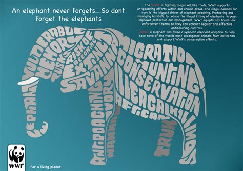 Elephant WWF Typography Poster by pagiee1996 on DeviantArt