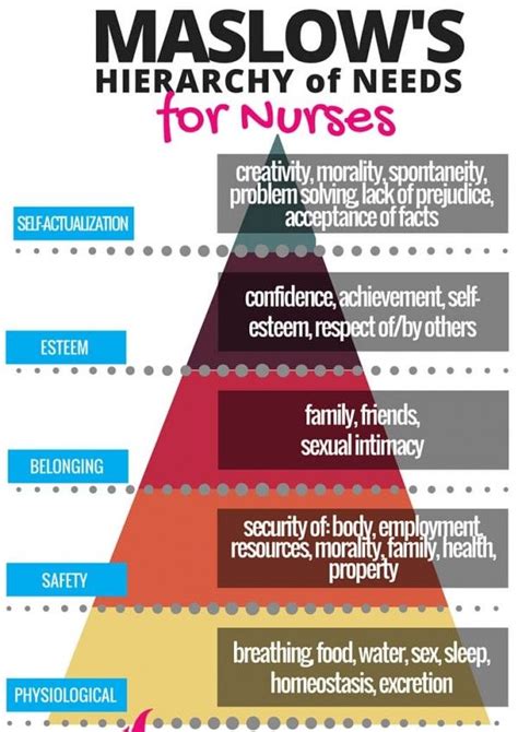 Champion These 8 Concepts Every Successful Nurse Knows Infographic