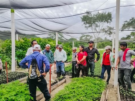 Intercambio De Experiencias Para El Manejo De Sistemas Agroforestales