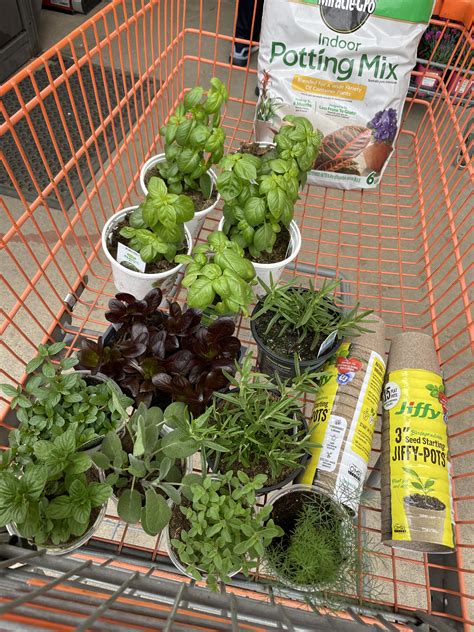 Making An Indoor Vertical Herb Garden – Petite Glimmers