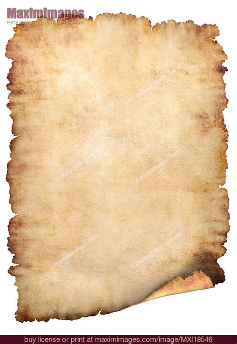 Parchment paper background. Stock Photo MXI18546