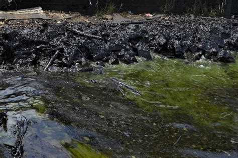 Extraen Toneladas De Desechos Impregnados De Petr Leo En El Lago