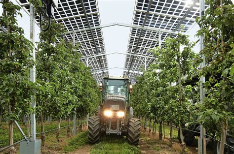 Obstbau Agri Pv Anlage Statt Hagelnetz Agrarheute