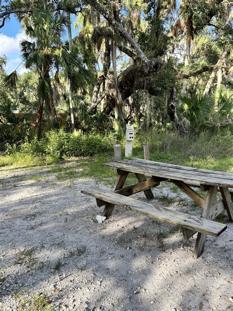 Visit Myakka River State Park And Enjoy A Canopy Walkway Above The